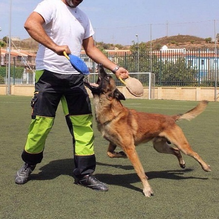 Cuscino morbido rotondo riporto da mordere in juta